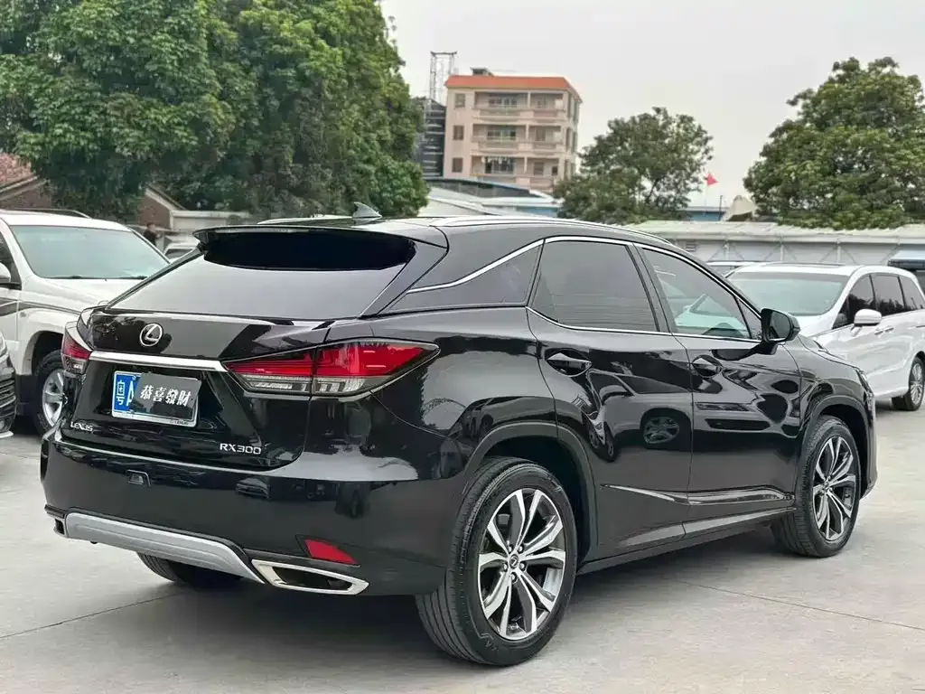 Lexus RX — фото 4