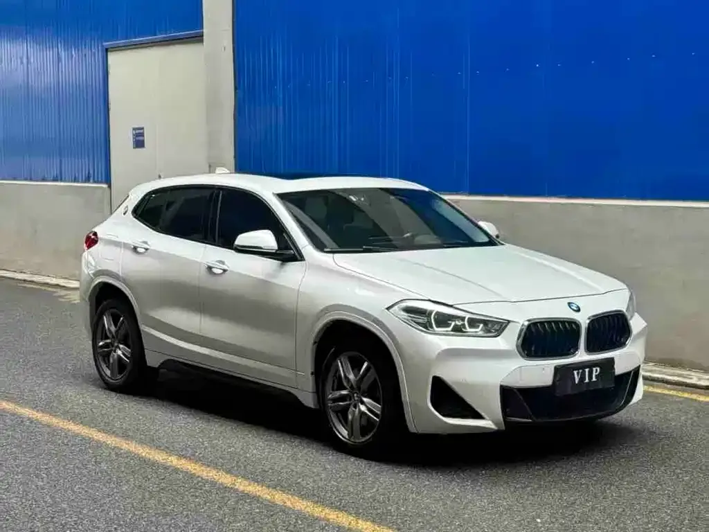 BMW X2 2021 из CN, фото 4