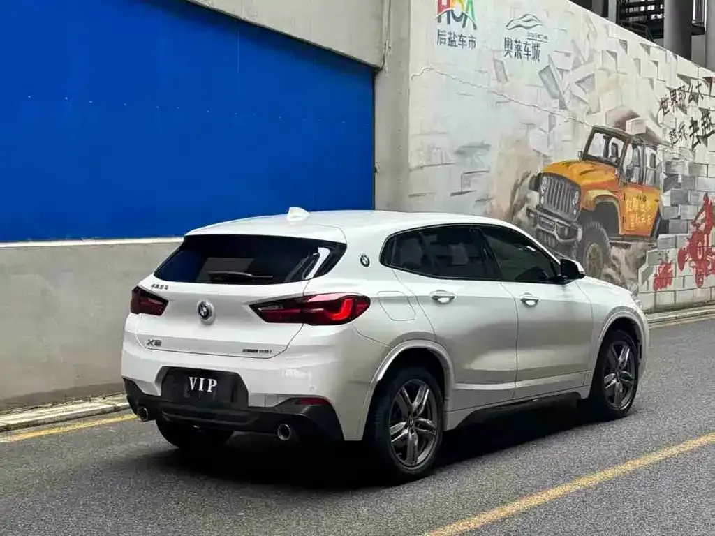 BMW X2 2021 из CN, фото 6