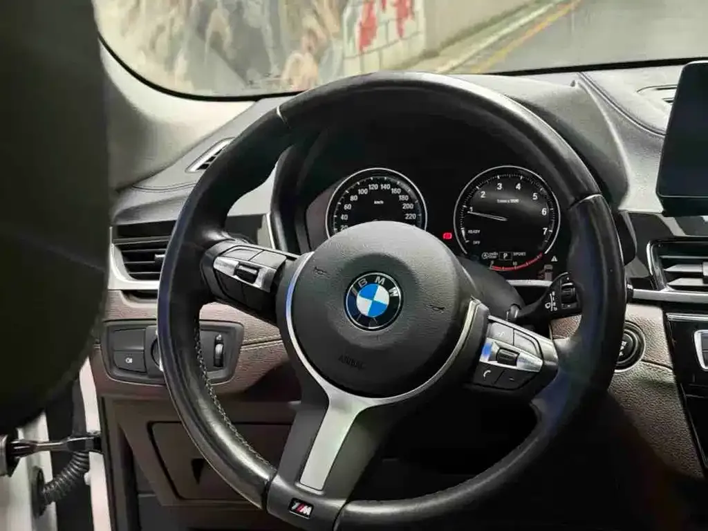 BMW X2 2021 из CN, фото 9