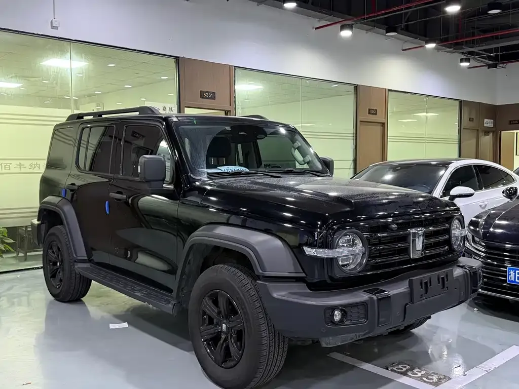 Tank 300 2023 из CN, фото 3