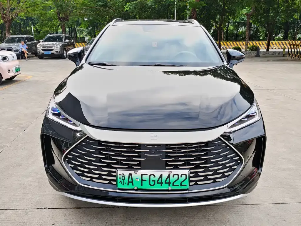 BYD Tang New Energy — фото 2