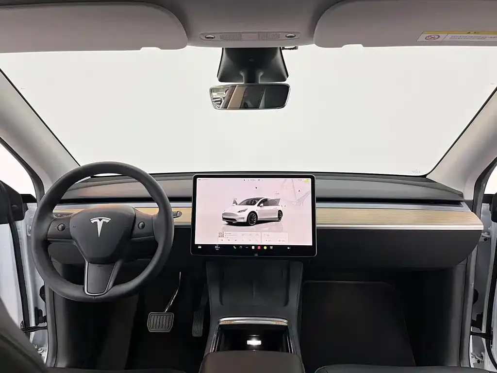 Tesla Model Y — фото 10