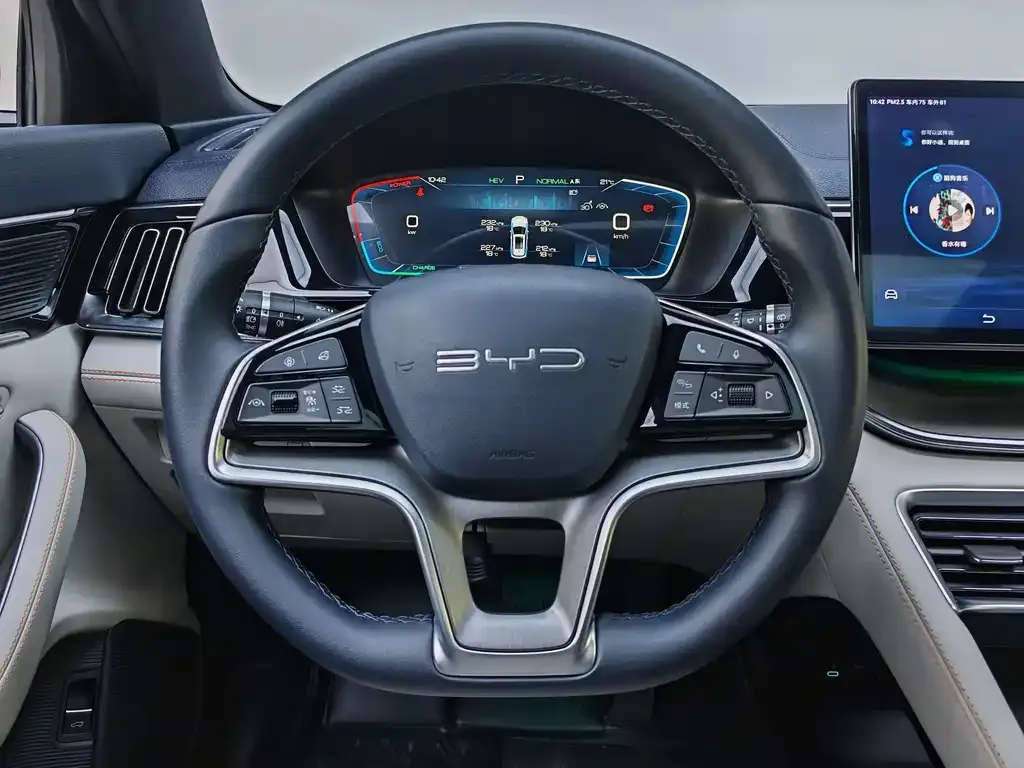 BYD PLUS New Energy — фото 6