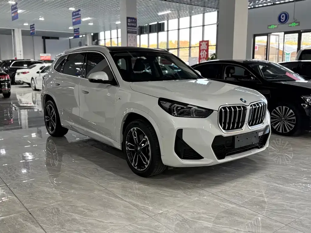BMW X1 — фото 3