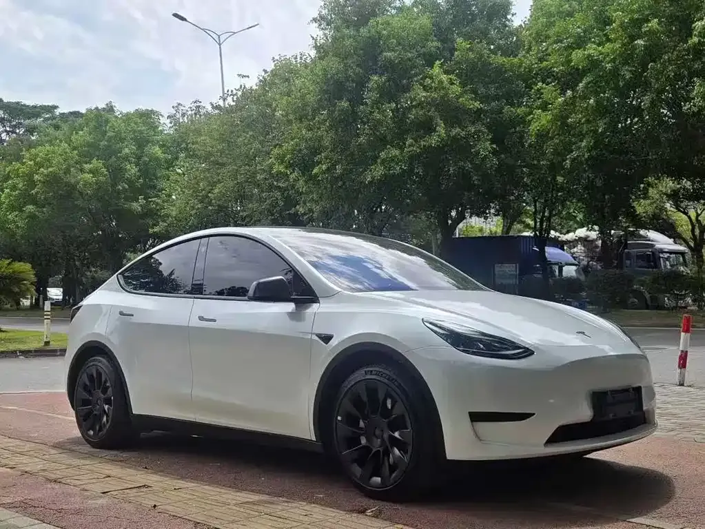 Tesla Model Y — фото 3