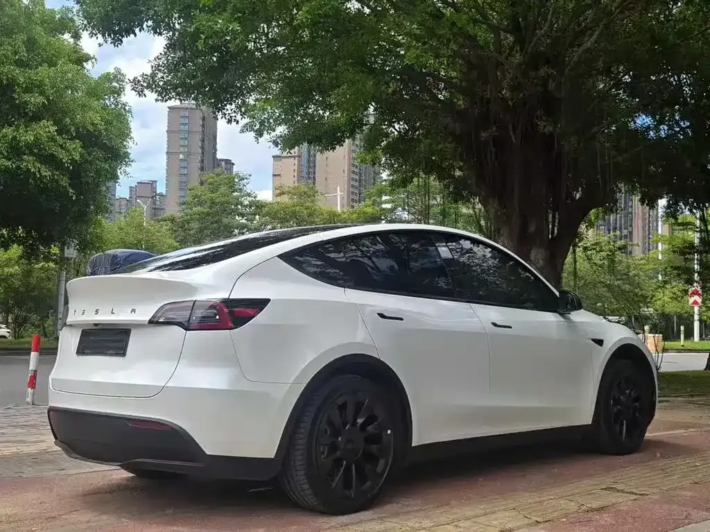 Tesla Model Y — фото 7