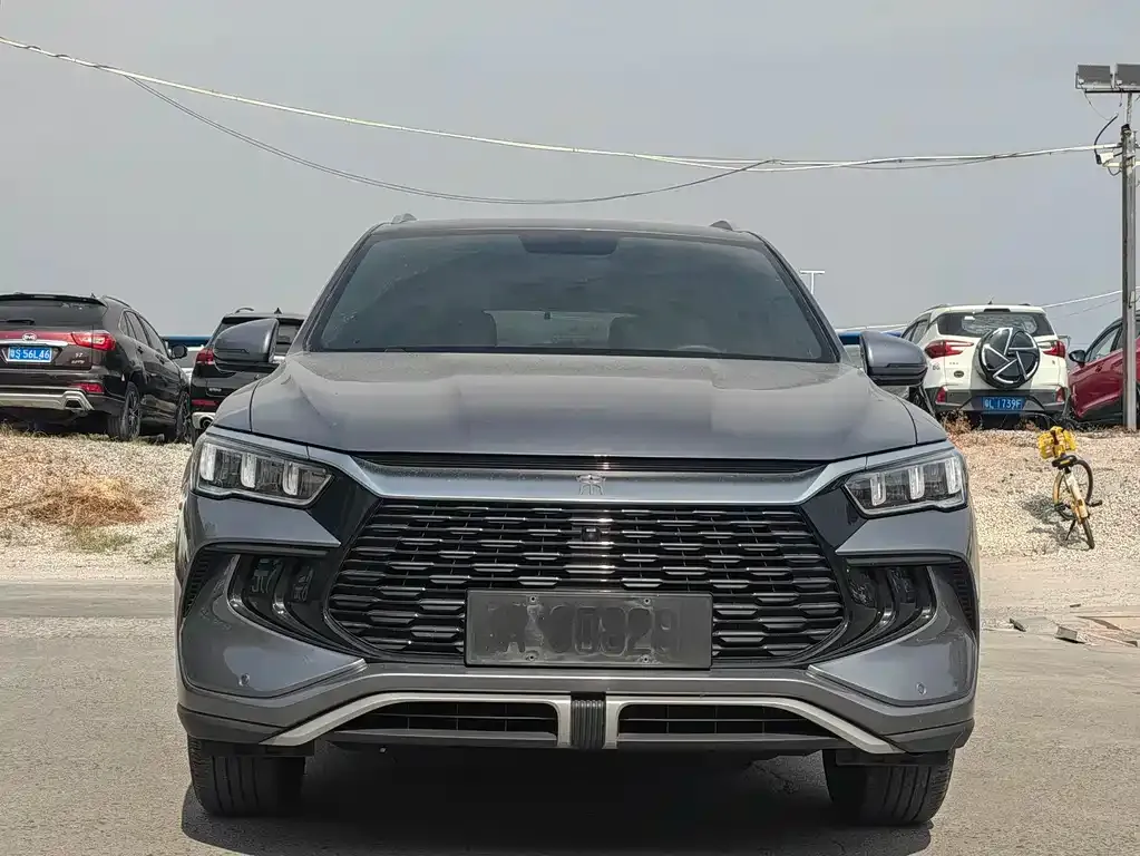 BYD Pro New Energy 2023 из CN, фото 2