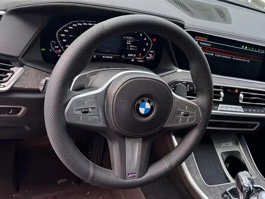 BMW X5 — фото 5