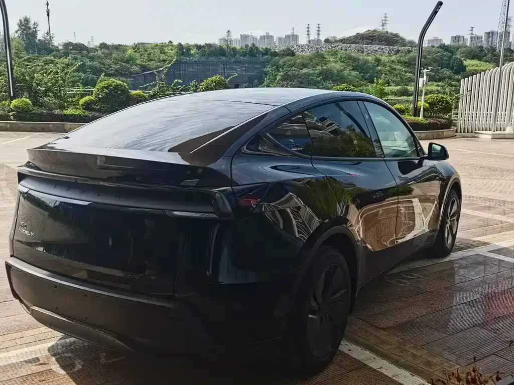 Tesla Model Y — фото 8