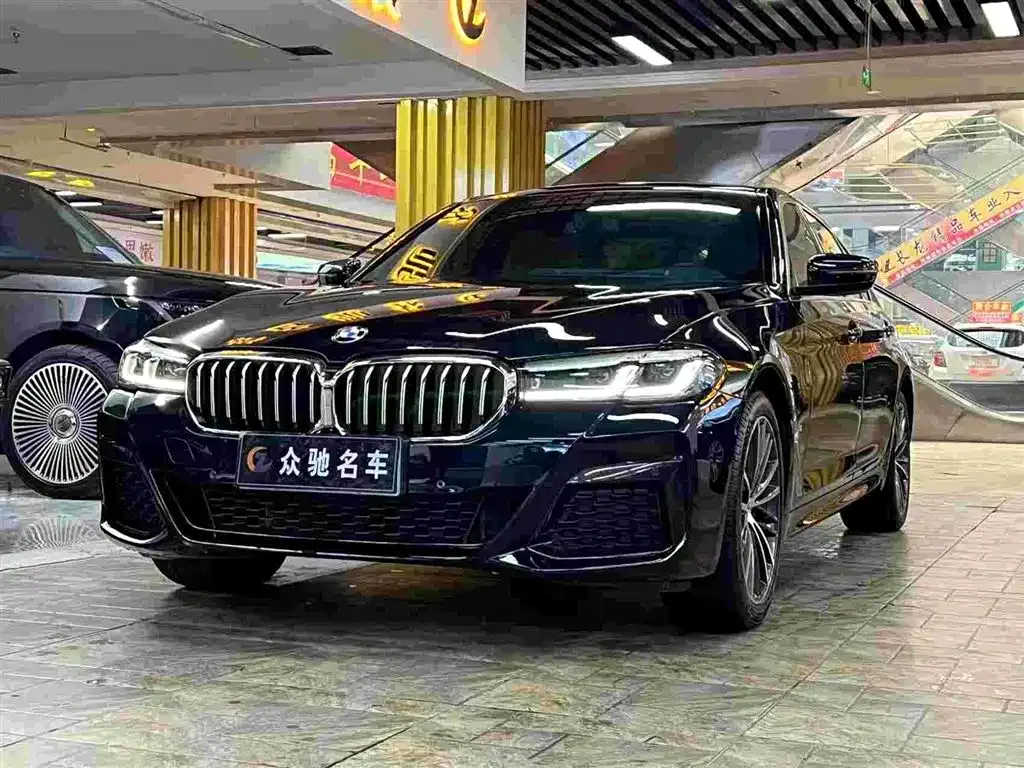 BMW 5 Series 2022 из CN, фото 3