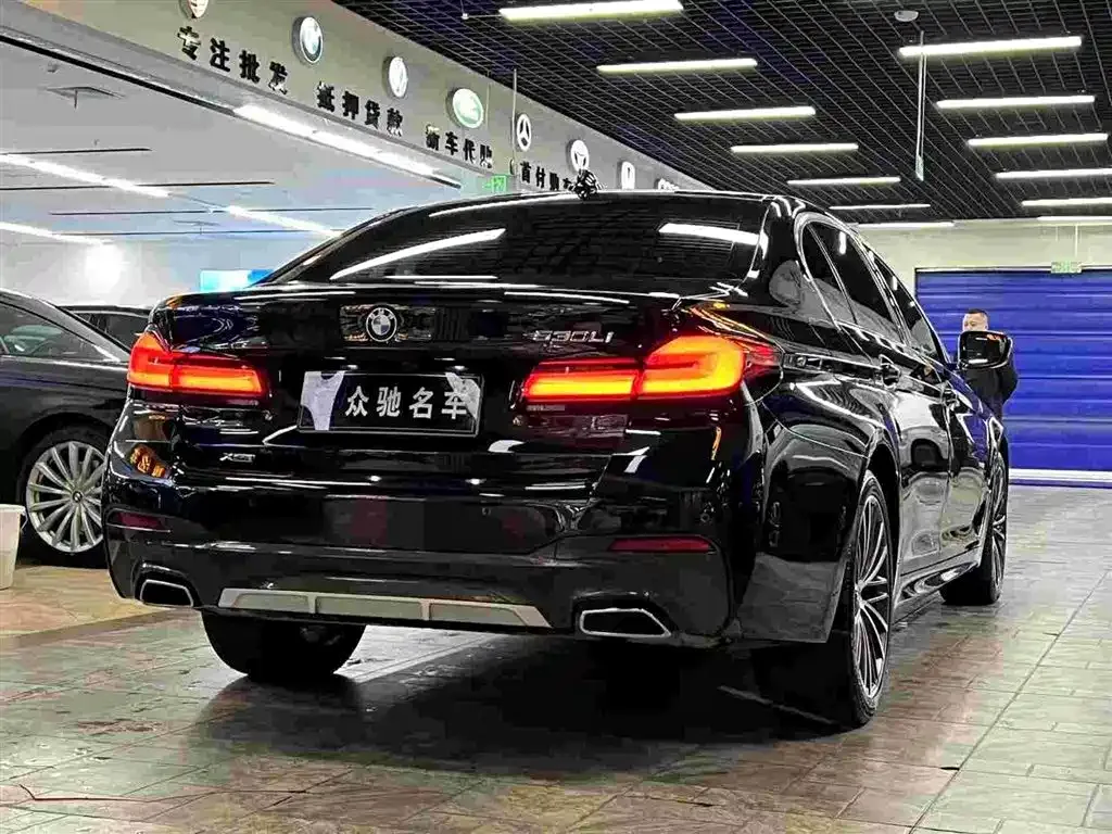 BMW 5 Series 2022 из CN, фото 7