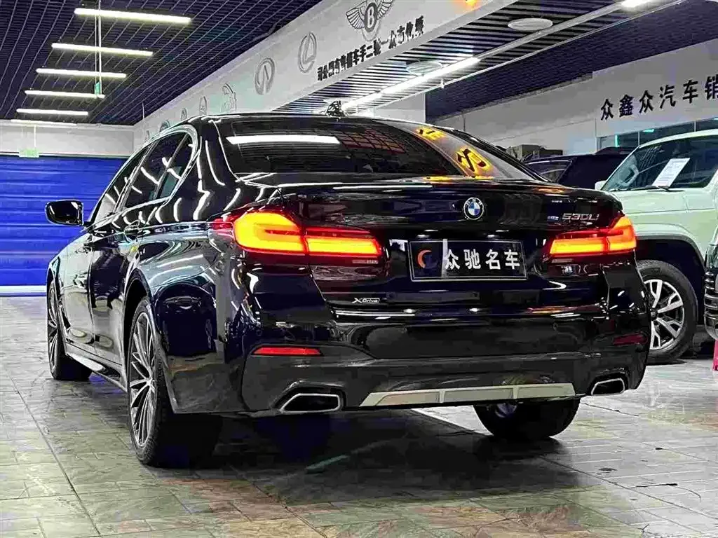 BMW 5 Series 2022 из CN, фото 9
