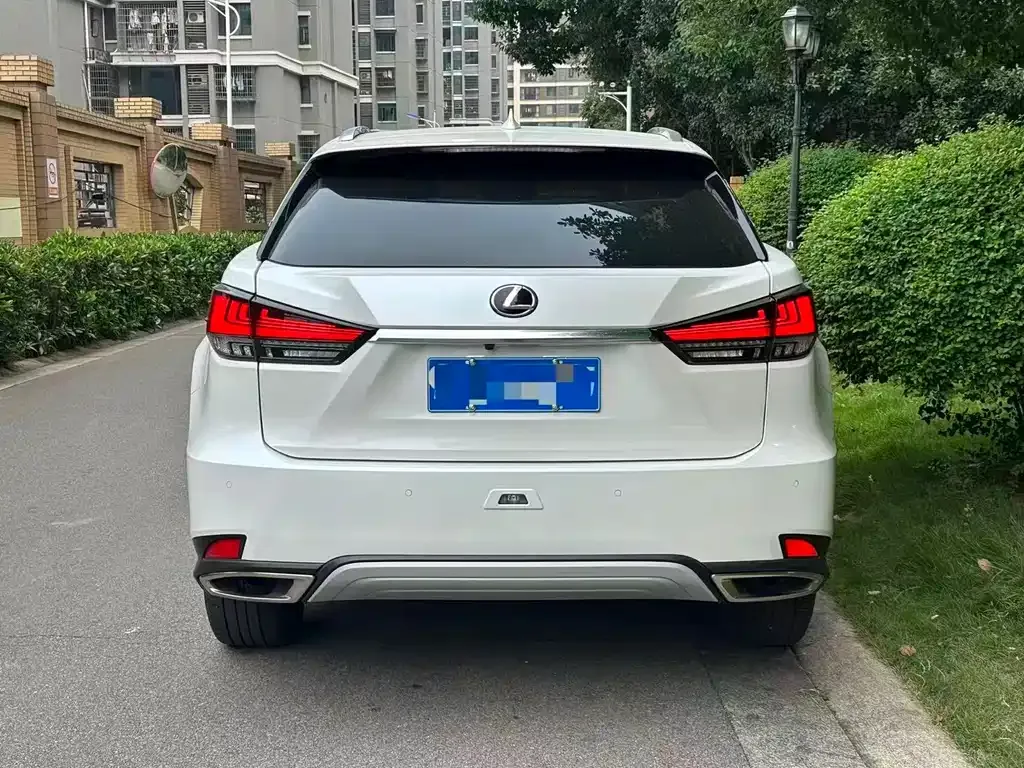 Lexus RX 2022 из CN, фото 5