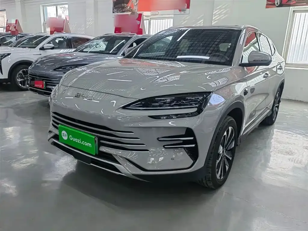 BYD PLUS New Energy — фото 1