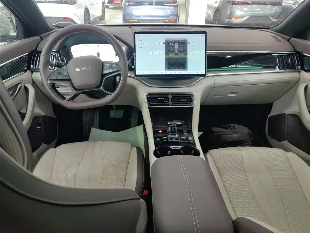 BYD PLUS New Energy — фото 10