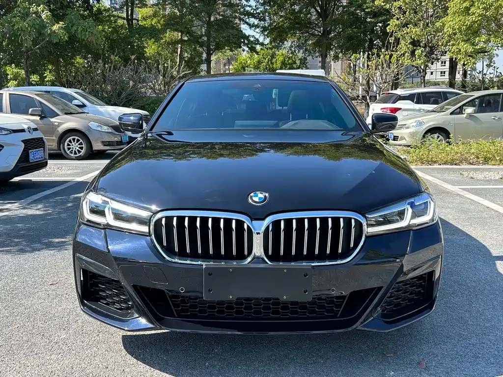 BMW 5 Series 2023 из CN, фото 2