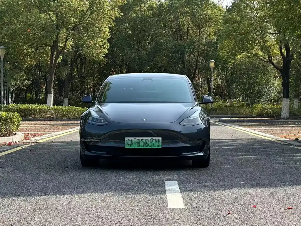 Tesla Model 3 — фото 2