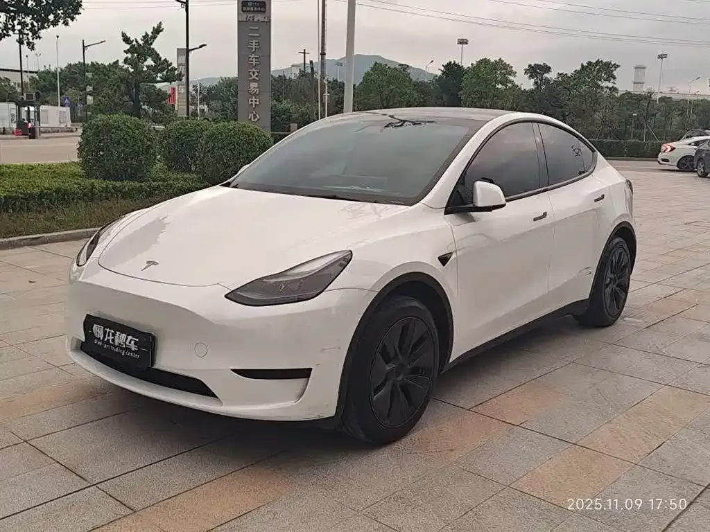 Tesla Model Y — фото 1