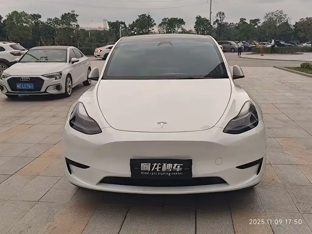 Tesla Model Y — фото 2