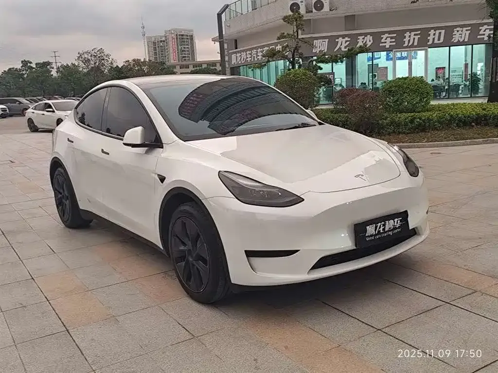 Tesla Model Y — фото 3