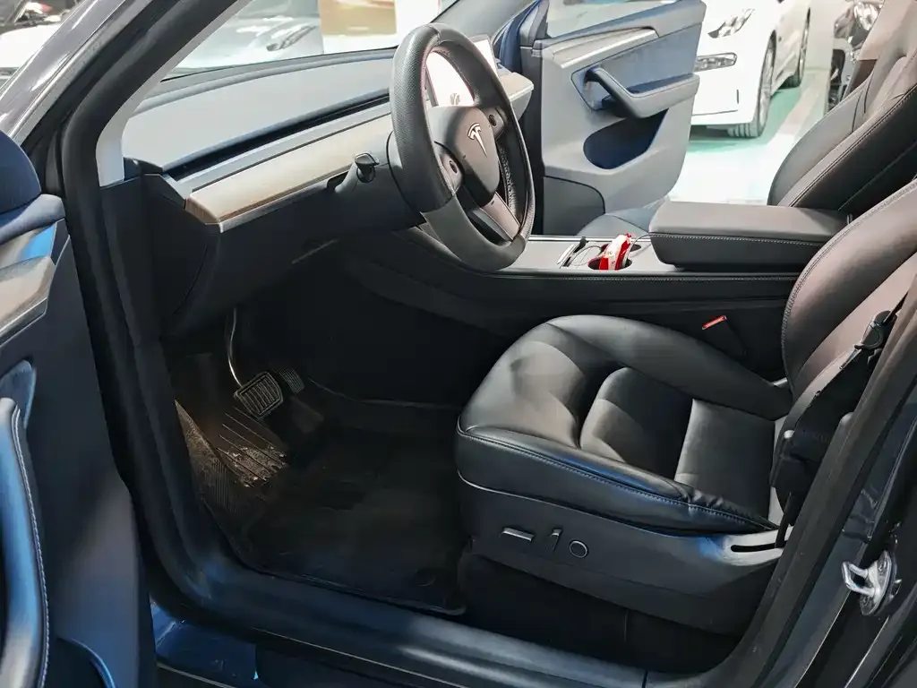 Tesla Model Y — фото 8