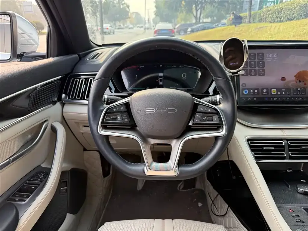 BYD PLUS New Energy — фото 6