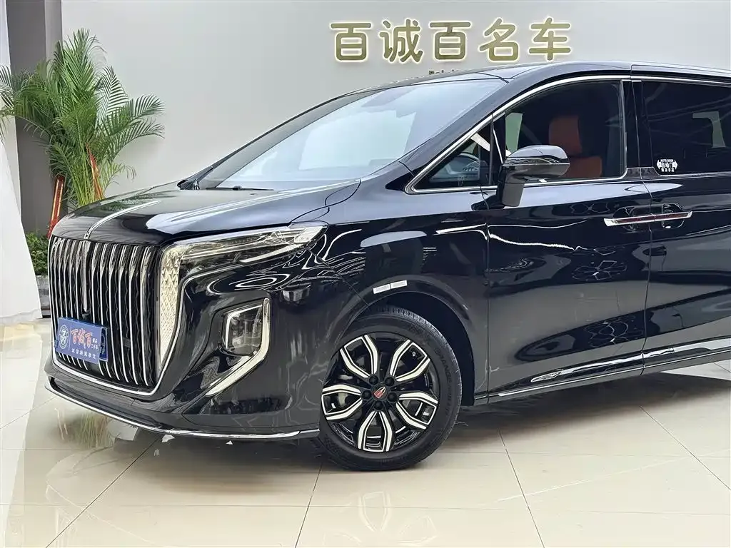 Hongqi HQ9 2023 из CN, фото 3