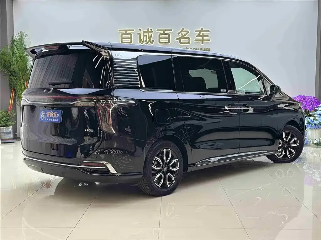 Hongqi HQ9 2023 из CN, фото 6