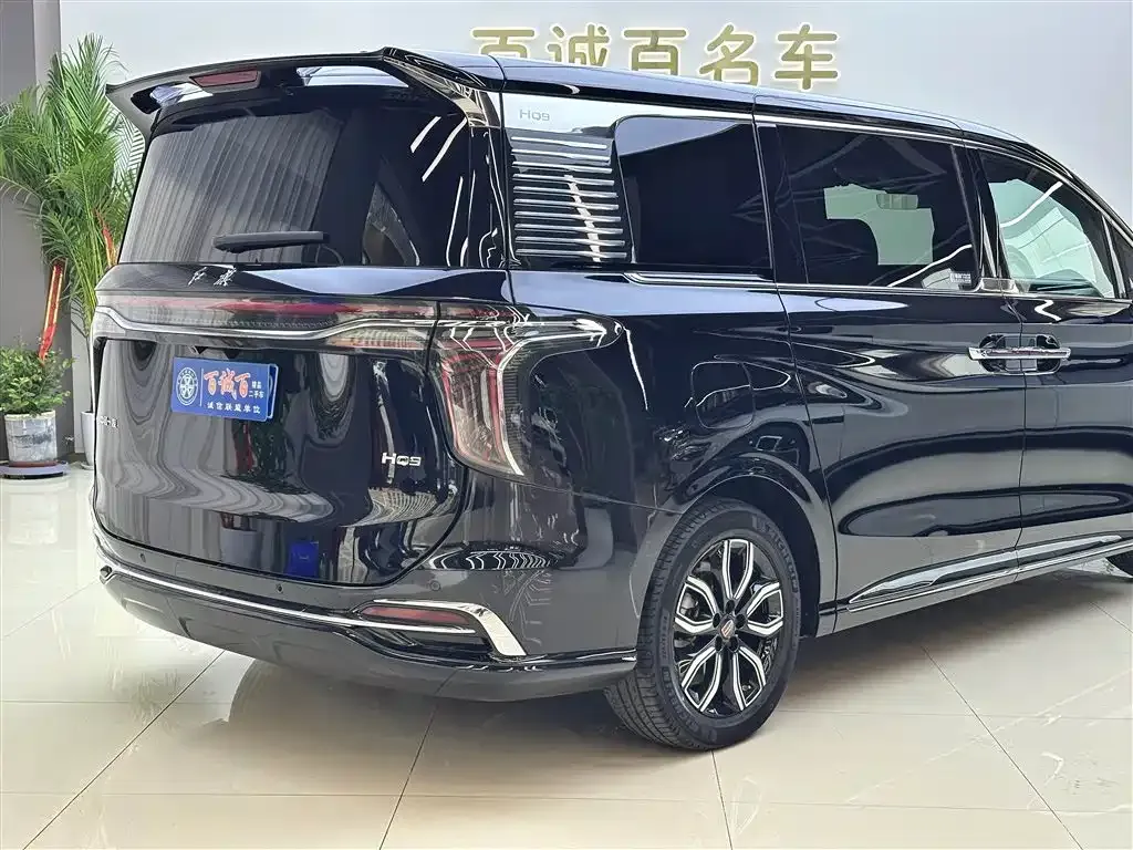 Hongqi HQ9 2023 из CN, фото 7