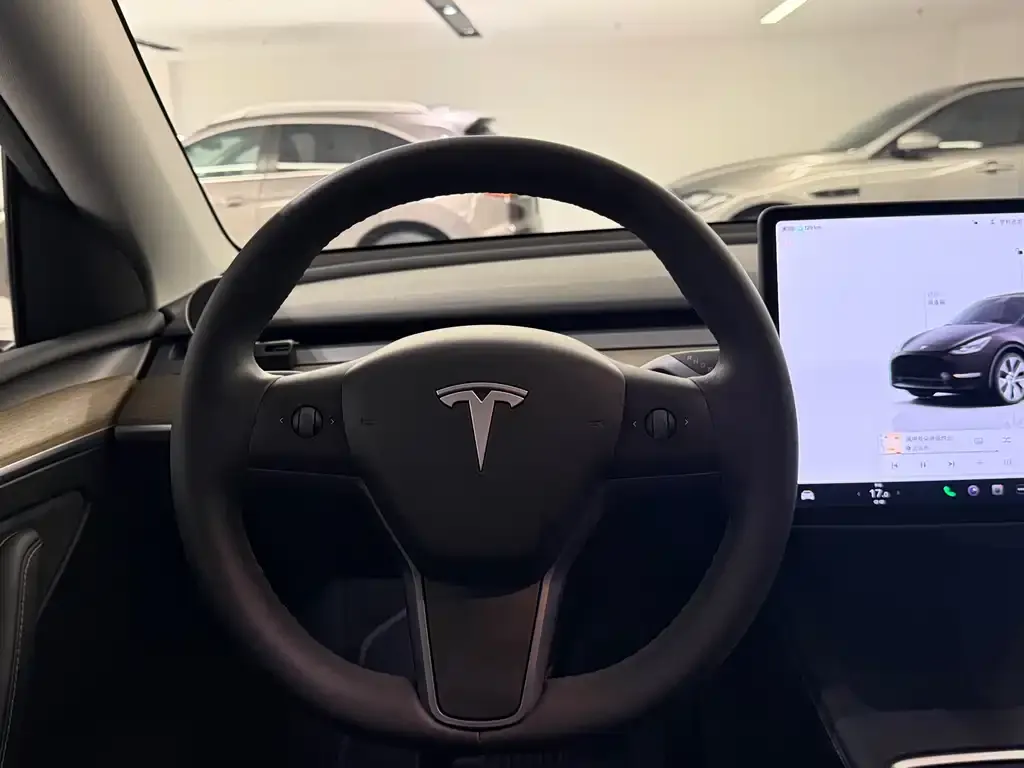 Tesla Model Y — фото 10