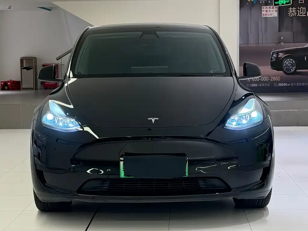 Tesla Model Y — фото 2