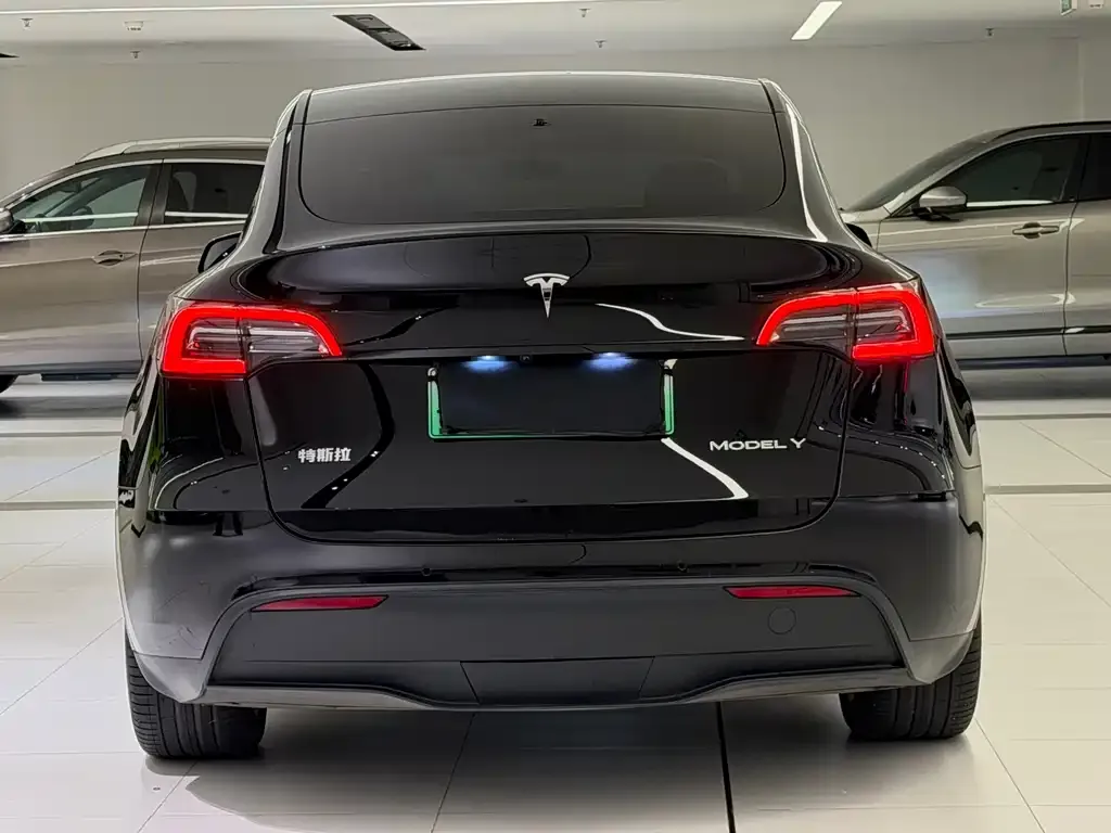 Tesla Model Y — фото 5