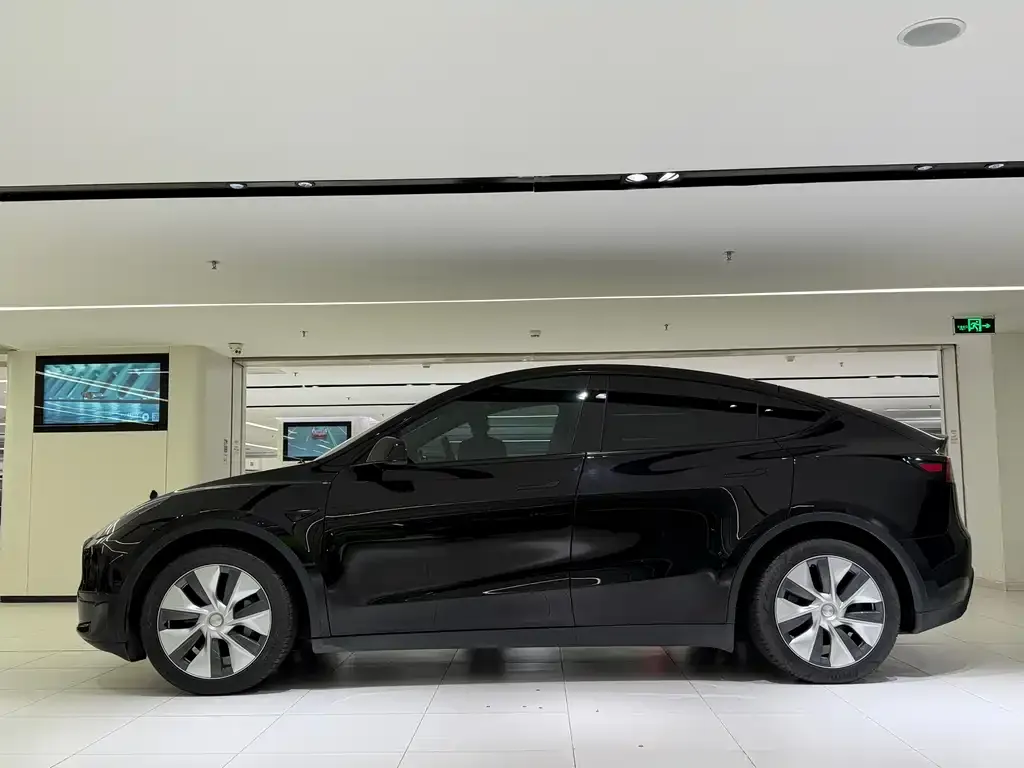 Tesla Model Y — фото 7