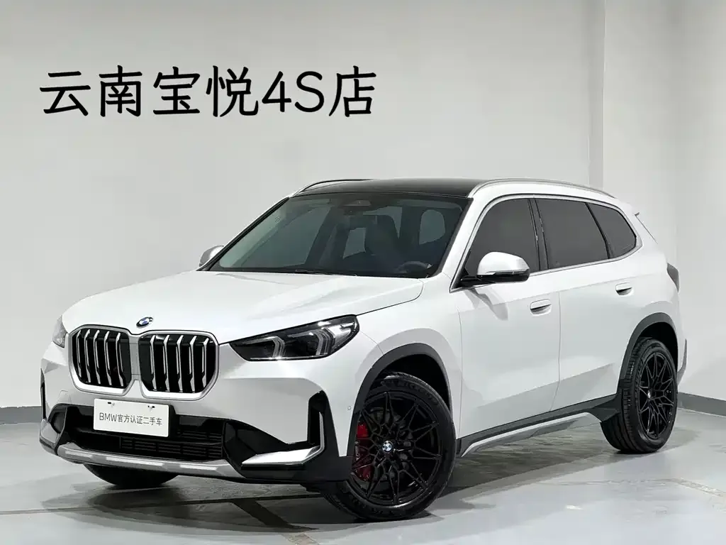 BMW X1 — фото 1