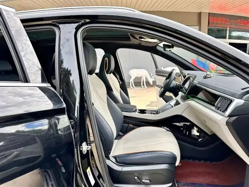 BYD PLUS New Energy 2023 из CN, фото 10