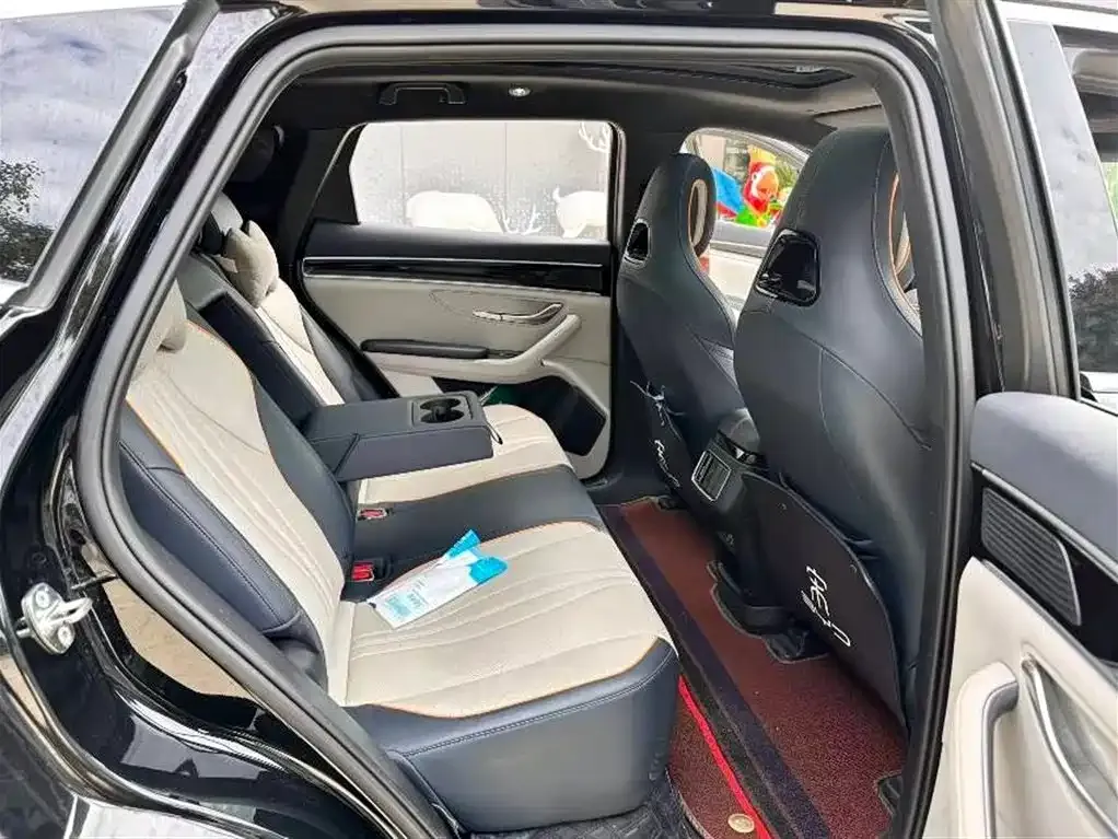 BYD PLUS New Energy 2023 из CN, фото 3