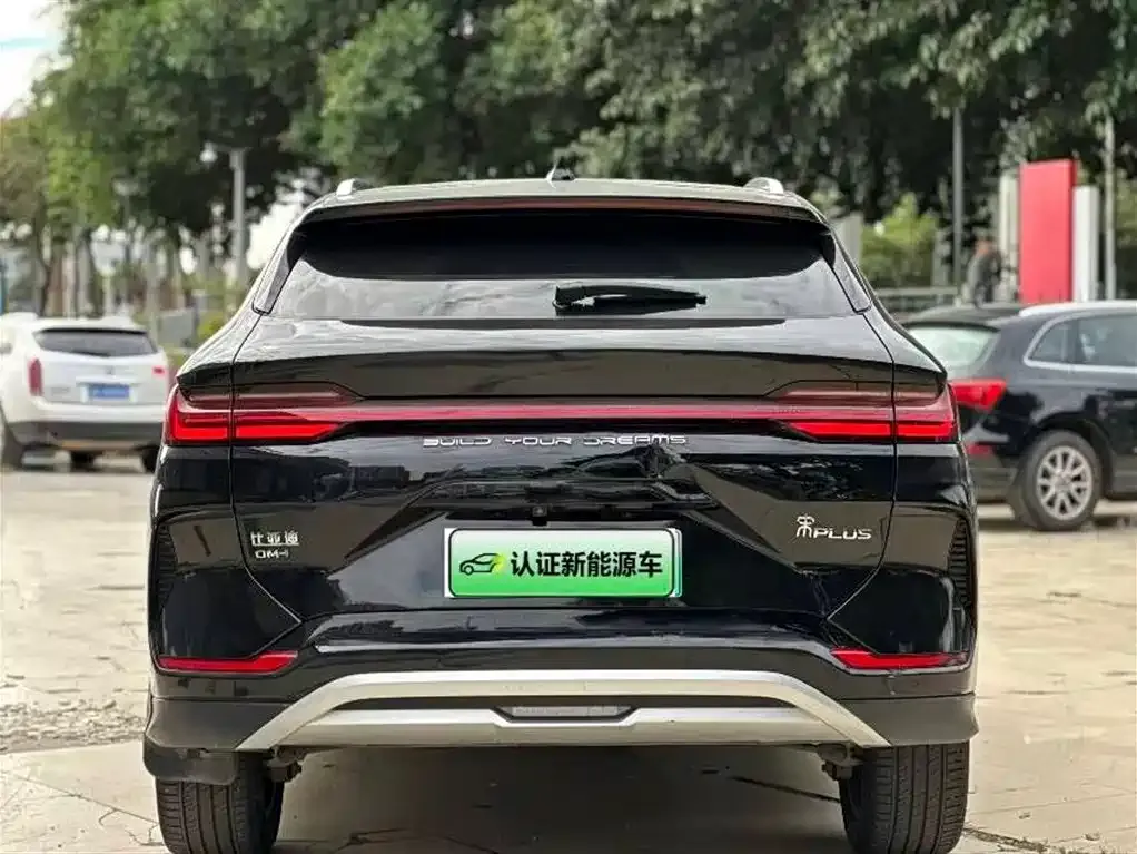 BYD PLUS New Energy 2023 из CN, фото 6