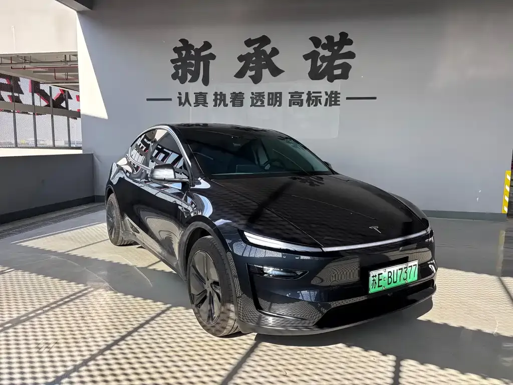 Tesla Model Y 2025 из CN, фото 3