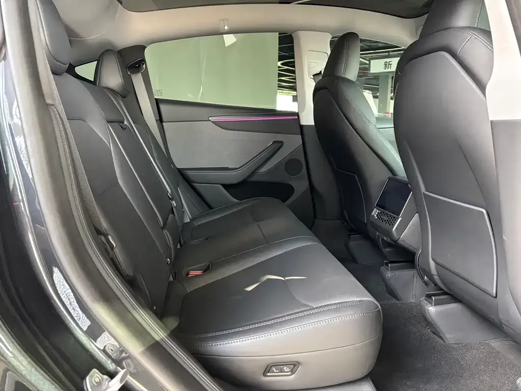 Tesla Model Y 2025 из CN, фото 6