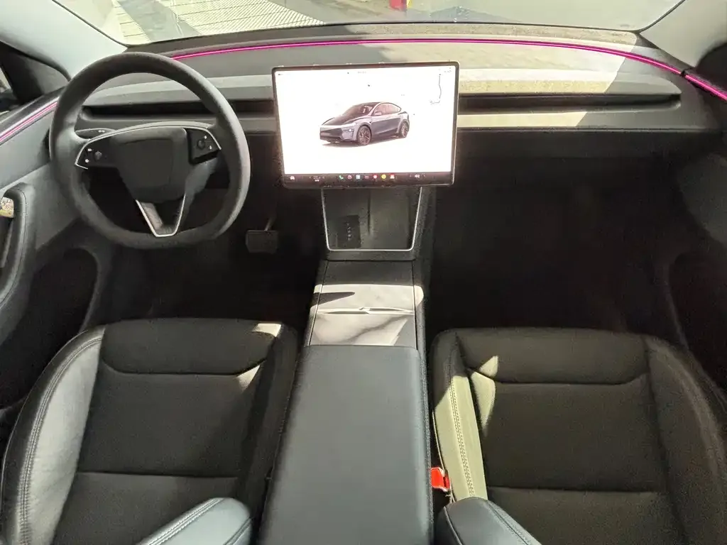 Tesla Model Y 2025 из CN, фото 8