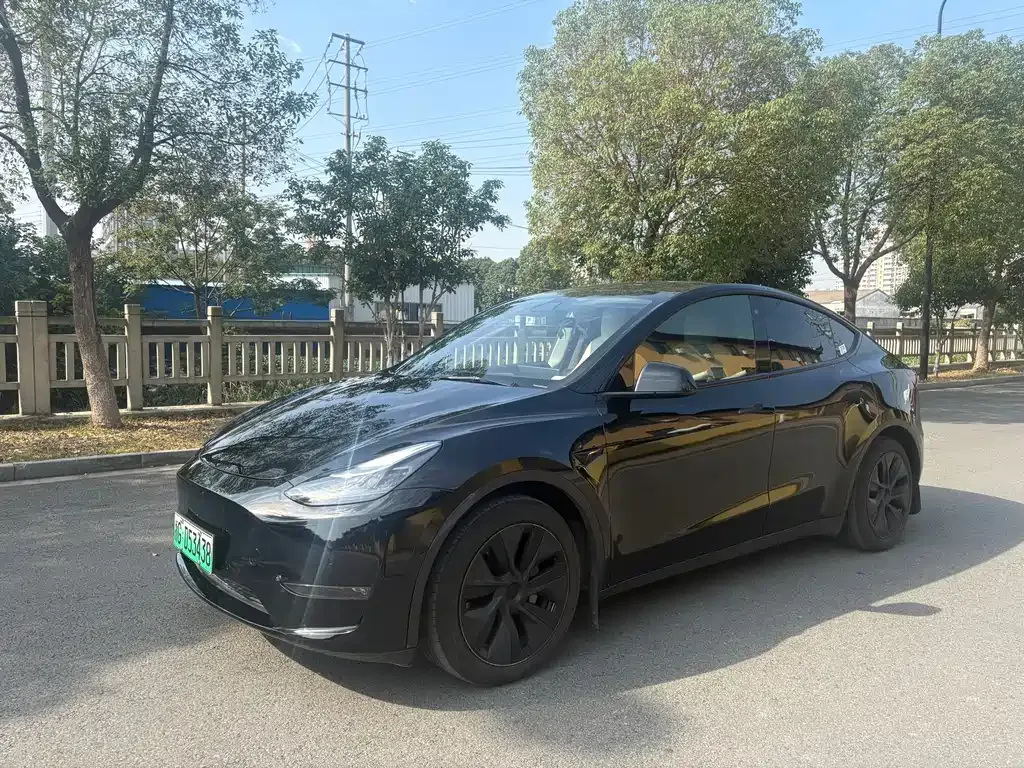 Tesla Model Y — фото 1