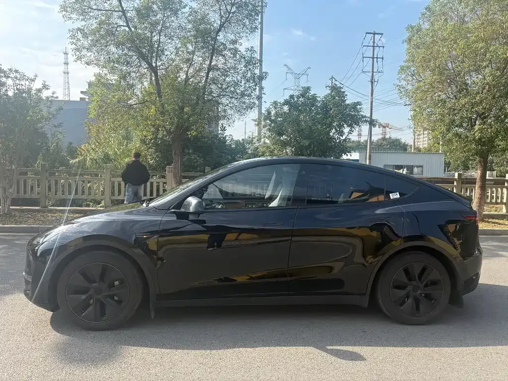 Tesla Model Y — фото 2
