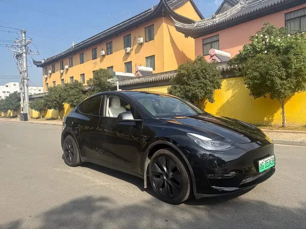 Tesla Model Y — фото 3