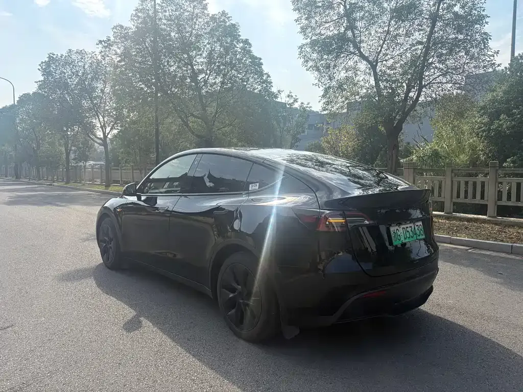 Tesla Model Y — фото 5