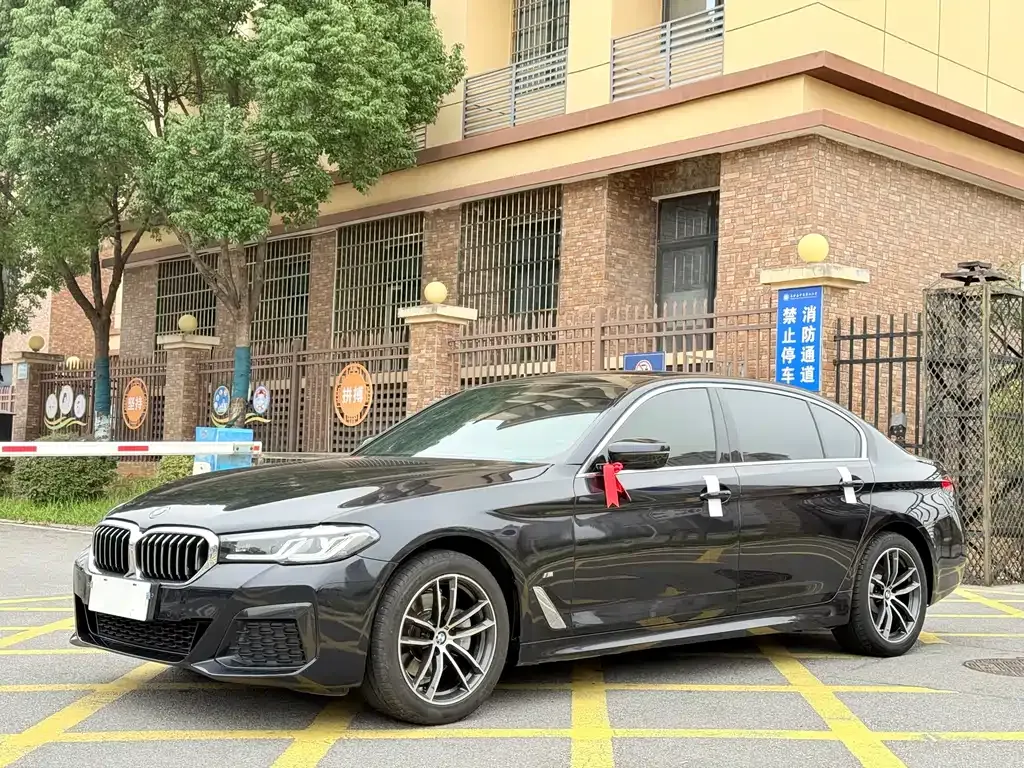 BMW 5 Series 2022 из CN, фото 1