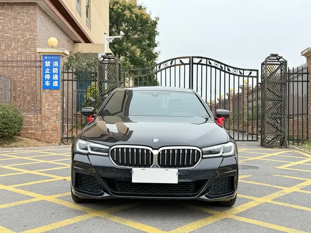BMW 5 Series 2022 из CN, фото 2