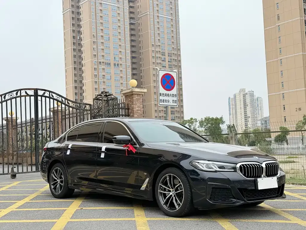 BMW 5 Series 2022 из CN, фото 3