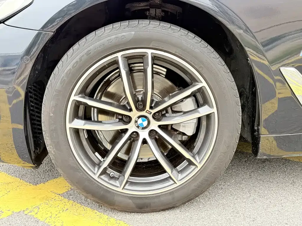 BMW 5 Series 2022 из CN, фото 5