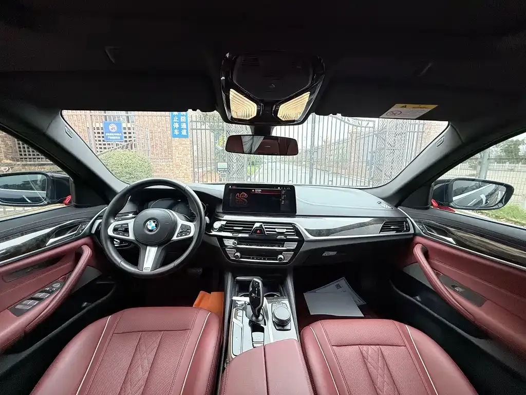 BMW 5 Series 2022 из CN, фото 7